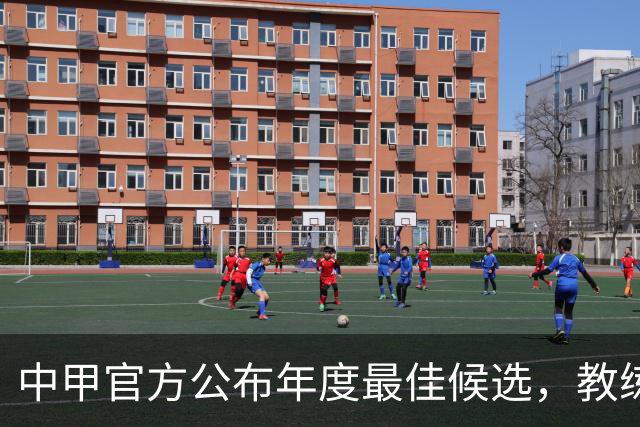 中甲官方公布年度最佳候选，教练、球员、媒体、球迷投票各占25%